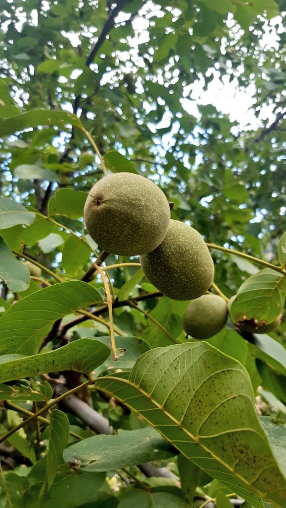 BOYwdBLACK_coat's tweet image. Pakistan&apos;s coastline, you have my ❤️ 

 Crystal-clear waters, majestic mountains, and warm hospitality. Perfect weather, delicious food, and memories to last a lifetime.
Janan Watan

#Pakistan #SeasideVibes #FriendshipGoals #traveldiaries2024