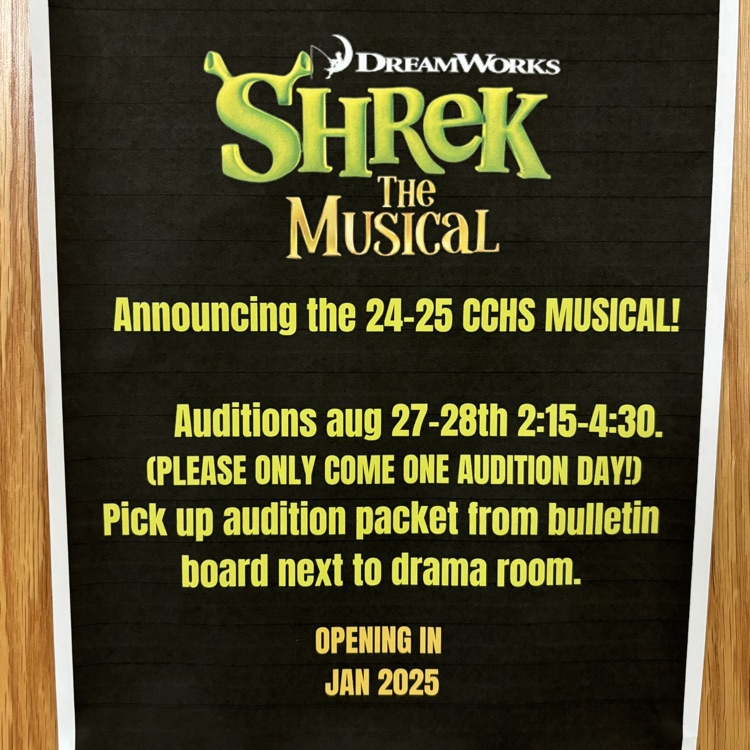 Shrek The Musical Tour Auditions 2025 - Audition Room Setup