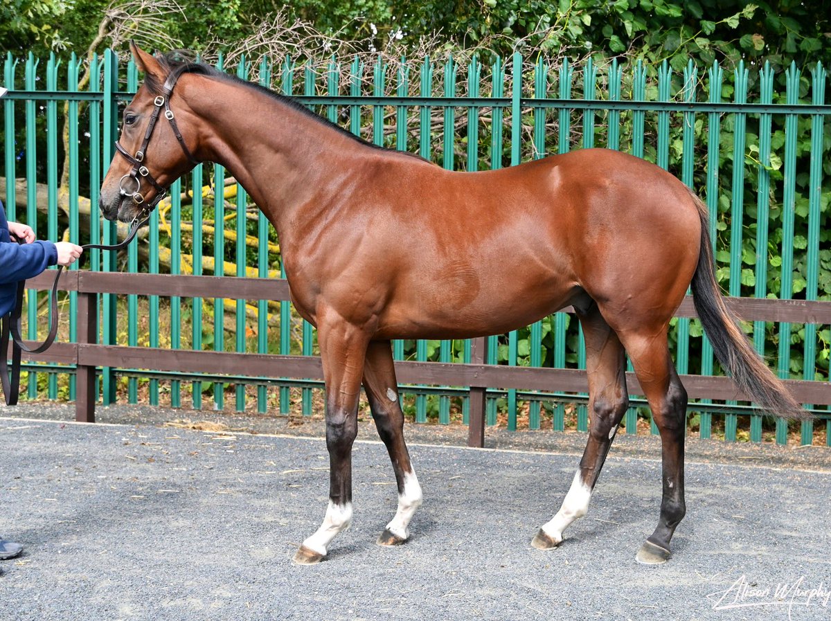 Sam Baker tweet media