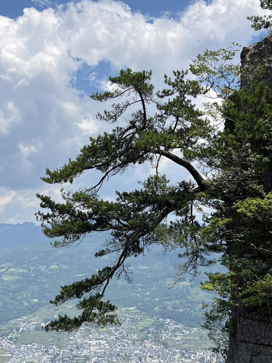 appiah's tweet image. 恩施大峡谷