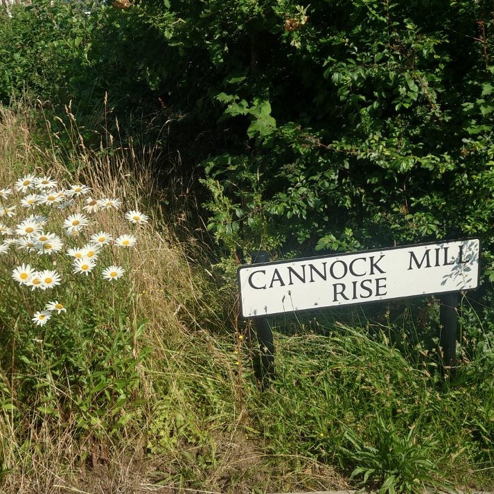 We have a one bedroom flat for sale (or short-term rent) where you also own the road it is on. Ideal start for a bank holiday bike ride.
cannockmillcohousing.co.uk/homes-availabl… #lifestyle #gardens #bike
