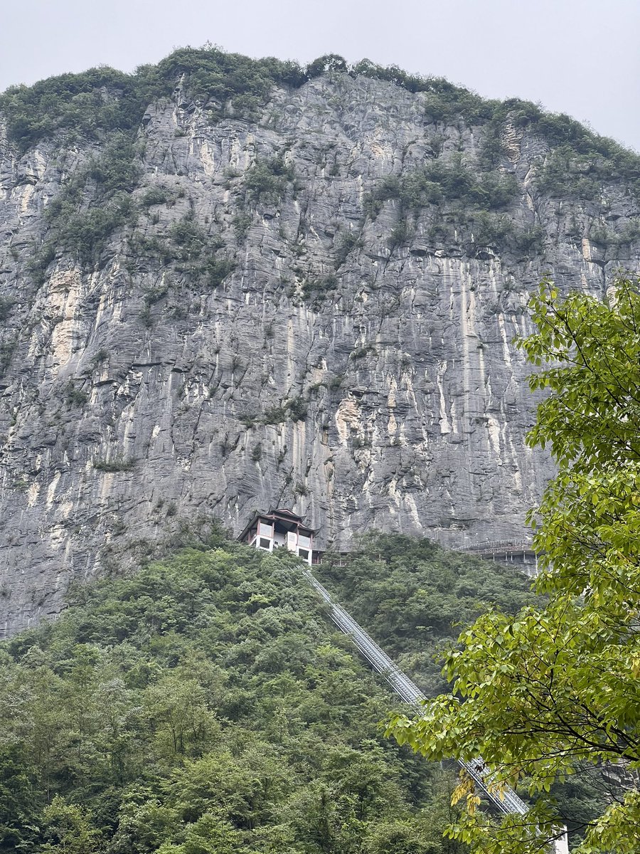 appiah's tweet image. 鹿院坪