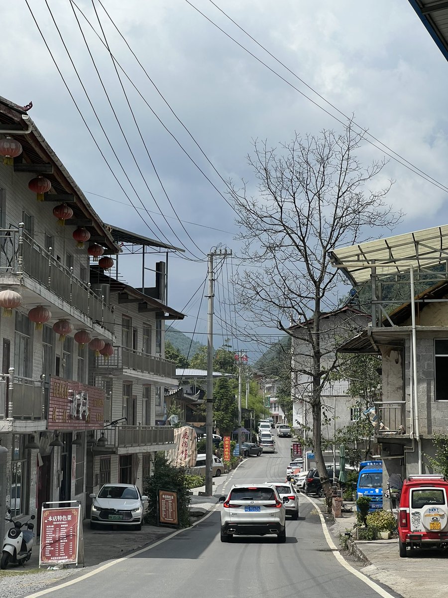 appiah's tweet image. 鹿院坪