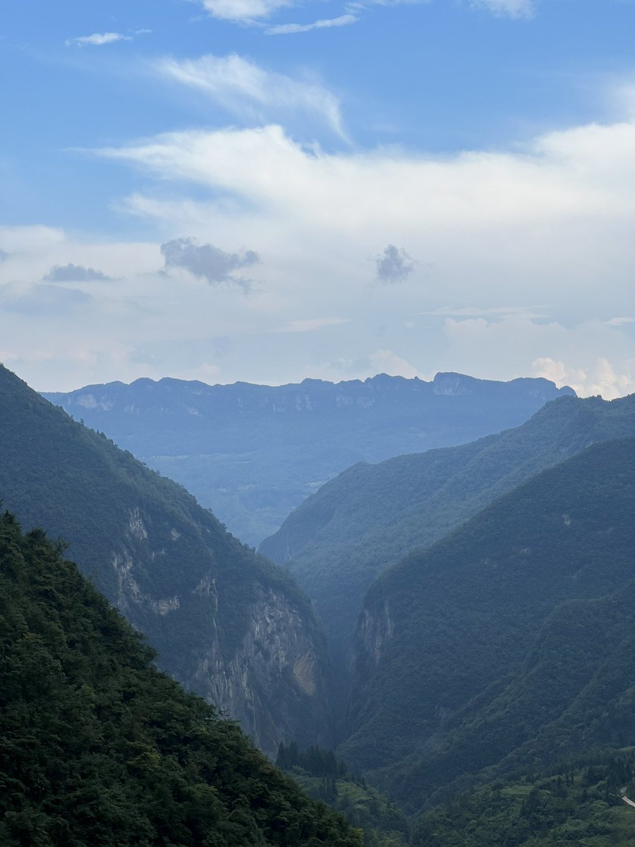 appiah's tweet image. 鹿院坪