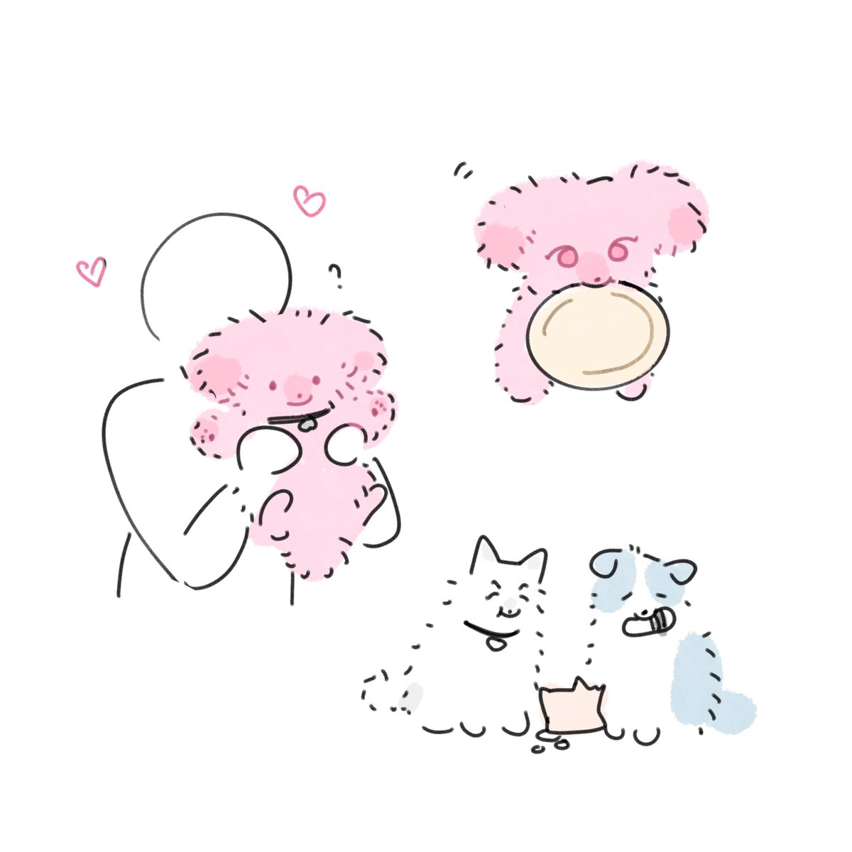 爱狗日~爱小狗们~