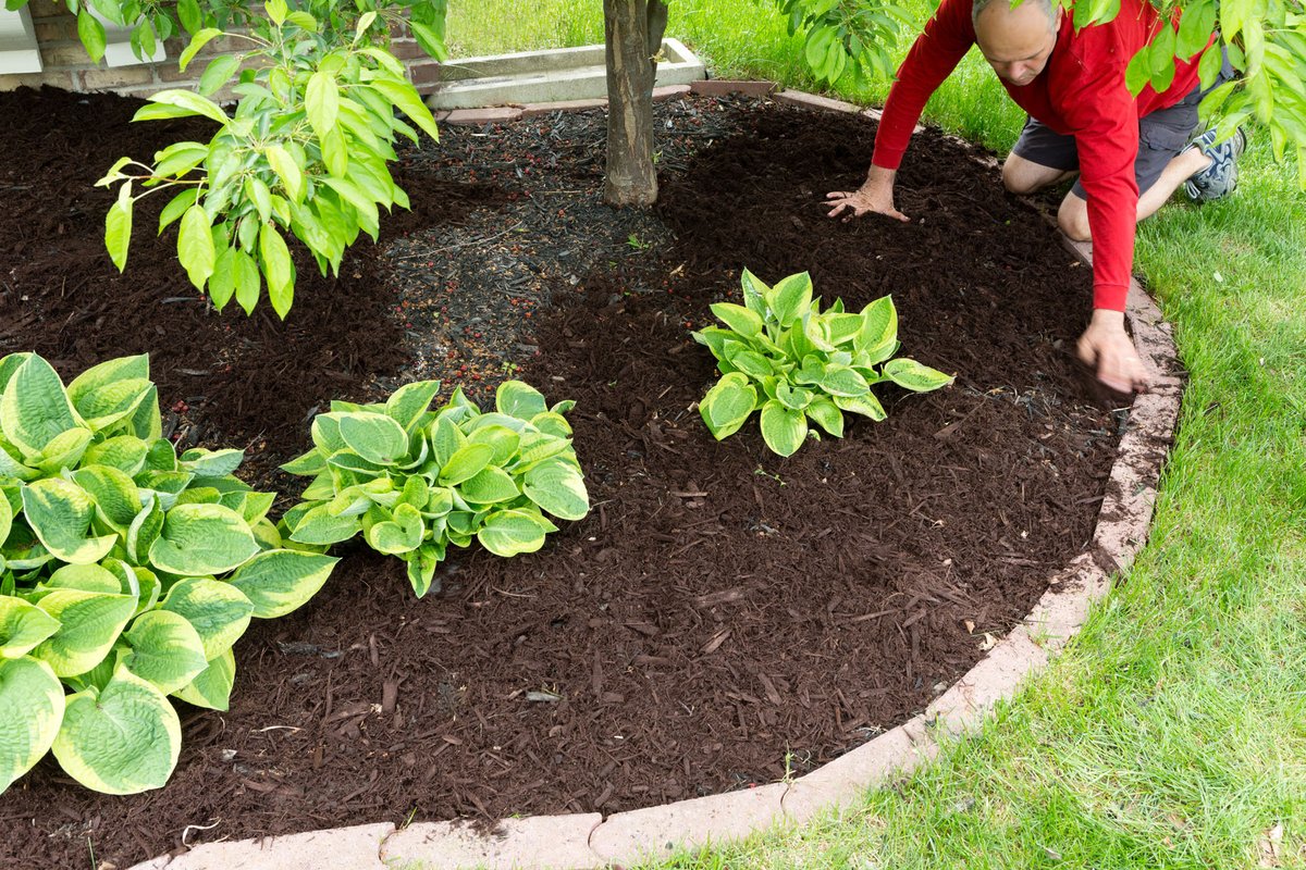 PEarthworks's tweet photo. Improve the value of your property with innovative and cost-effective updates, like seasonal color, mulch and year-round maintenance.

#pughsearthworks #retaillandscape #officecomplexlawncare #commerciallandscape #yearroundlawncare #bedmaintenance #mowing #pruning #fertilization https://t.co/P2aHr07Co7