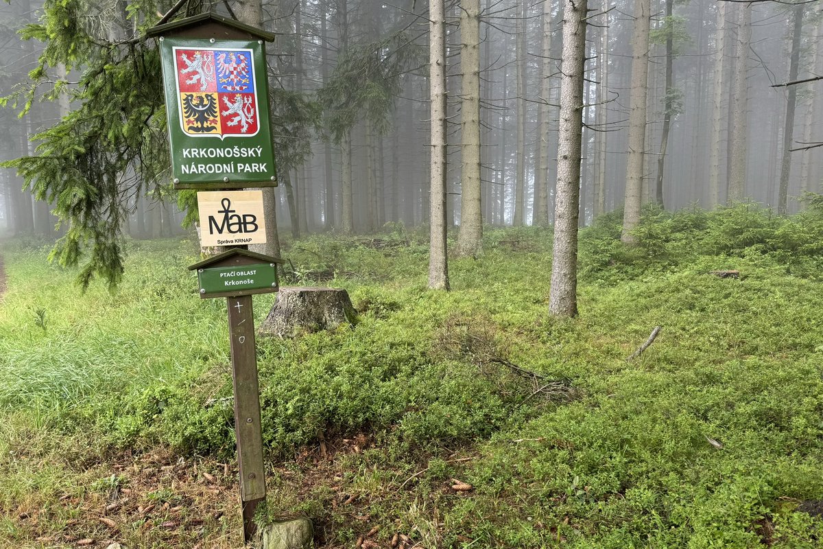 Robin Böhnisch tweet media