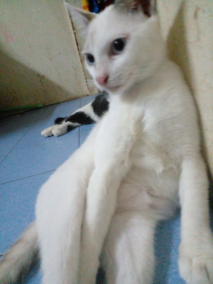 อยากดูรูปเซ็กซี่เราทักมานะ🤣🤣🤣🤣