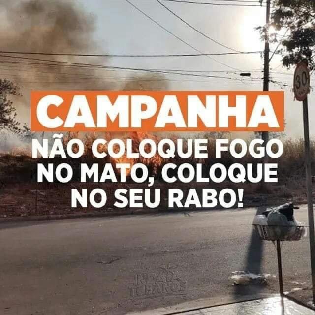 bom dia
