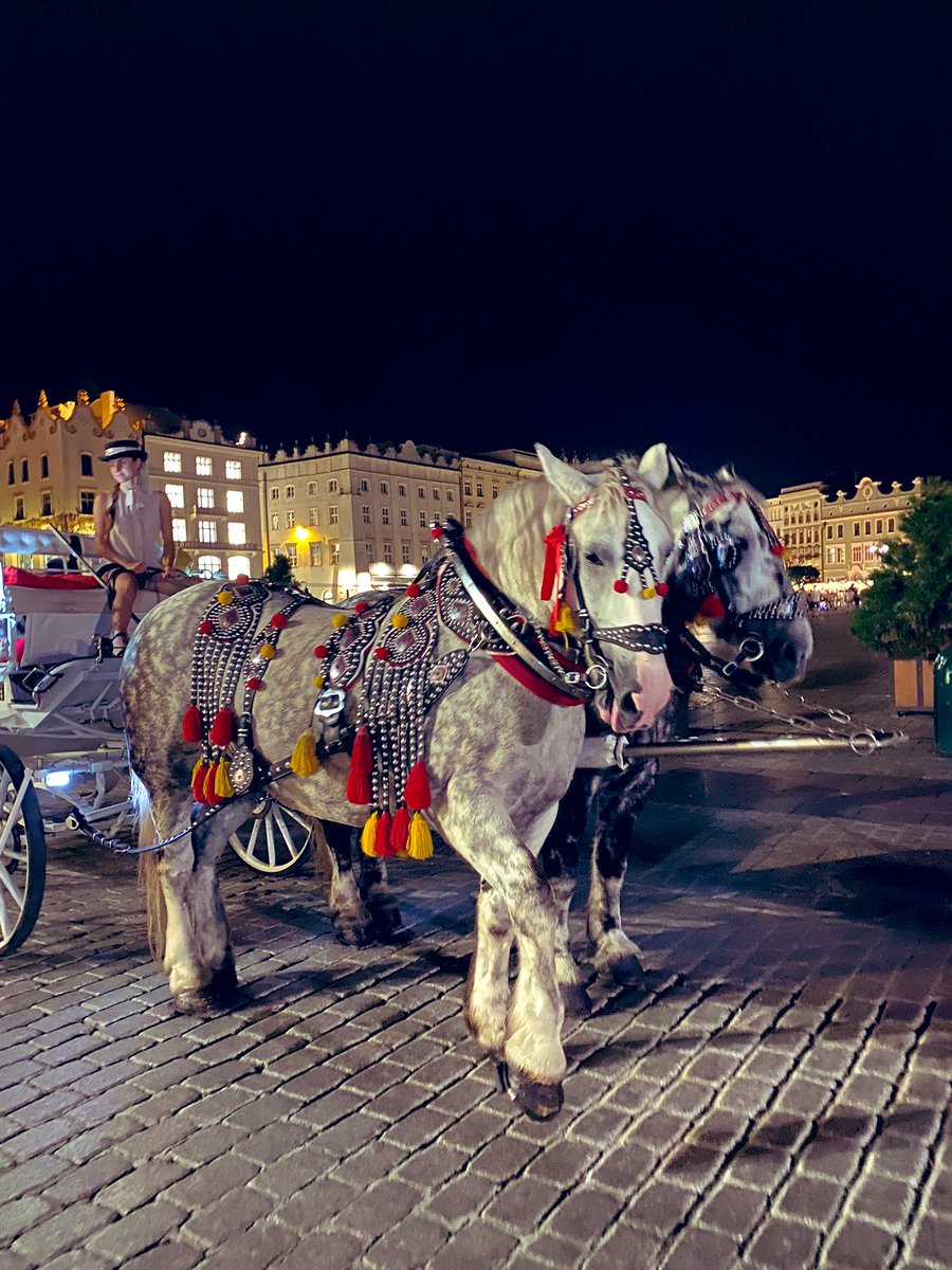 Basia72004464's tweet photo. Kraków jest piękny 🥰już tęsknię @aniamelek ❤️ https://t.co/LM7Yluqoun