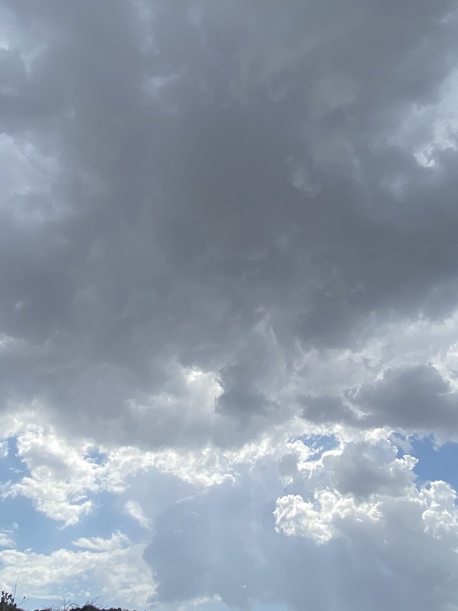 ترعد علا السدر خثعم