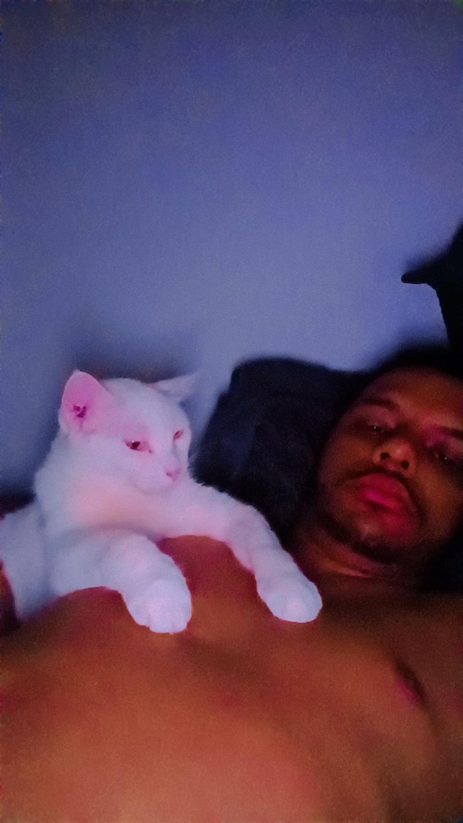 Meu grude 🐱