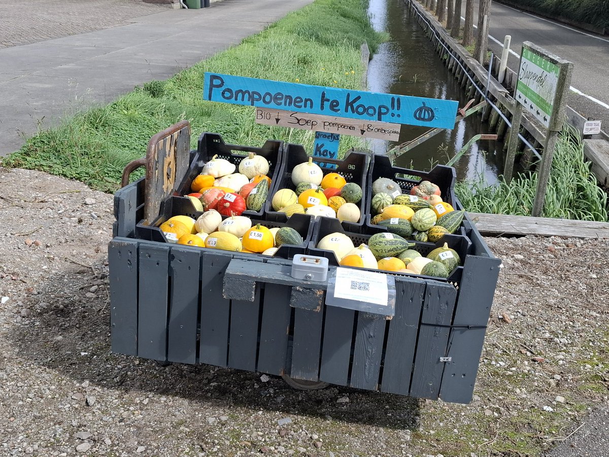 Maarten Molenaar tweet media