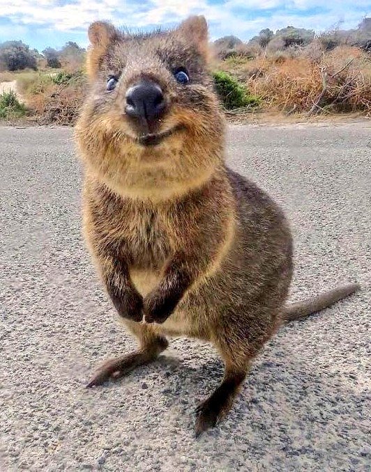 When someone explains something to you for the sixth time and you still don't understand.