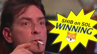 SHIB ON SOL tweet media