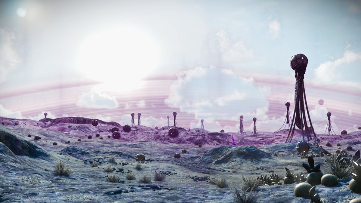 Melt van Aarde tweet media