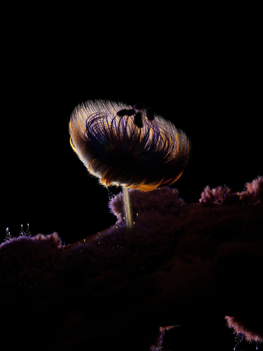 Andréa Philippon tweet media