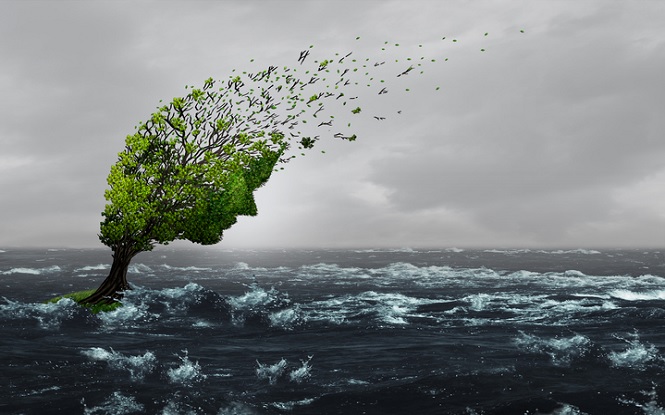 The best cure for eco anxiety is to get better informed, be thoughtful, and see the funny side to climate change.  
#ClimateCrisis #Learning #CriticalThinking #laughter 

volunteerlatinamerica.com/blog/posts/the…