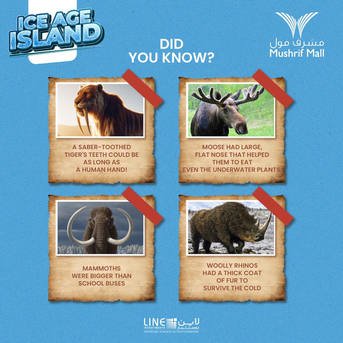 MushrifMall's tweet photo. Get ready to meet this incredible creature (well, its life-sized replica) at Ice Age Island in Mushrif Mall till September 4th!

#MushrifMall #MallWithADifference #SomethingBig #IceAge #IceAgeIsland #AbuDhabiIsGettingCold #SummerFun #SummerActivities #DidYouKnow https://t.co/8JWN7JEoFz