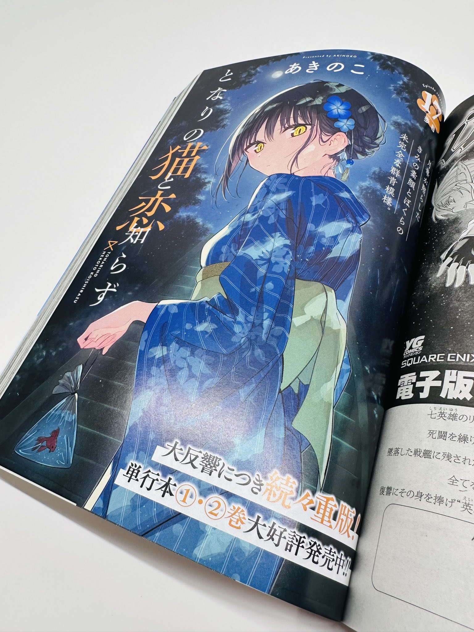 となりの猫と恋知らず 4巻 B3ポスター 非売品 販促 となりの猫と恋