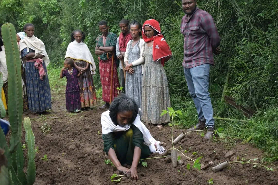 ReliefTigray's tweet photo. We're promoting micro gardening in R. Azebo &amp; T. Adiyabo to help families to feed children 🍅🥬🥕.
With support from @WFP, we're providing seeds, &amp; training. 
Lemlem in Tsigia Tabia shares: "This is making a huge difference in our children's lives." 💪
#nutritionforfitness  #WFP https://t.co/tdVc7I0yzZ