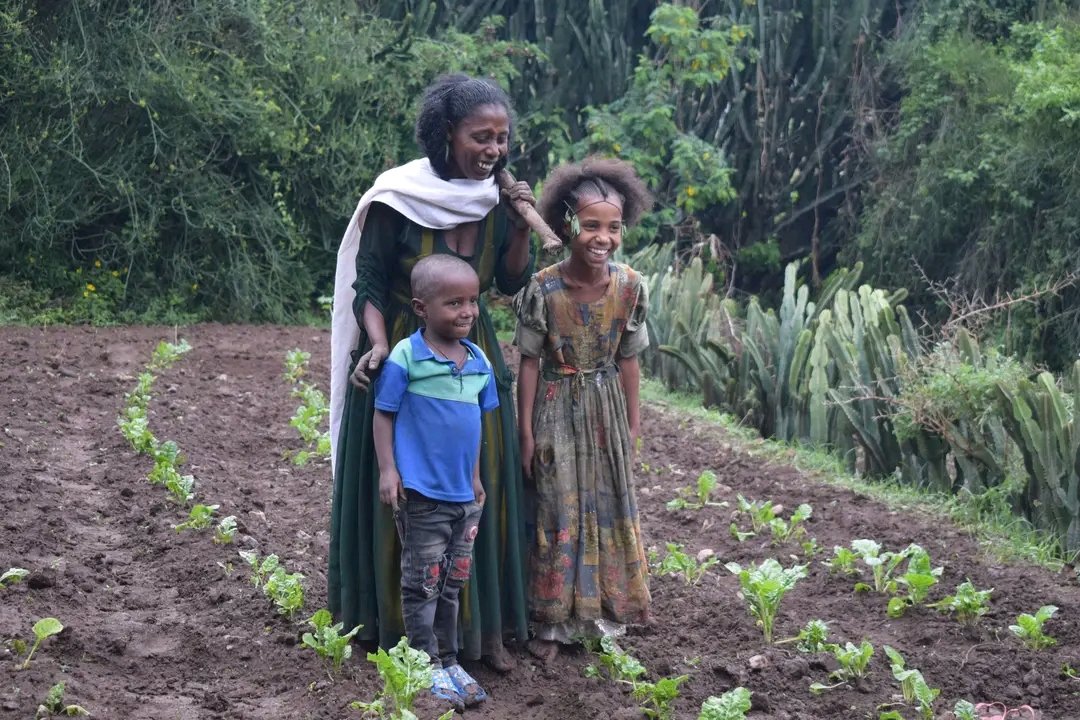 ReliefTigray's tweet photo. We're promoting micro gardening in R. Azebo &amp; T. Adiyabo to help families to feed children 🍅🥬🥕.
With support from @WFP, we're providing seeds, &amp; training. 
Lemlem in Tsigia Tabia shares: "This is making a huge difference in our children's lives." 💪
#nutritionforfitness  #WFP https://t.co/tdVc7I0yzZ
