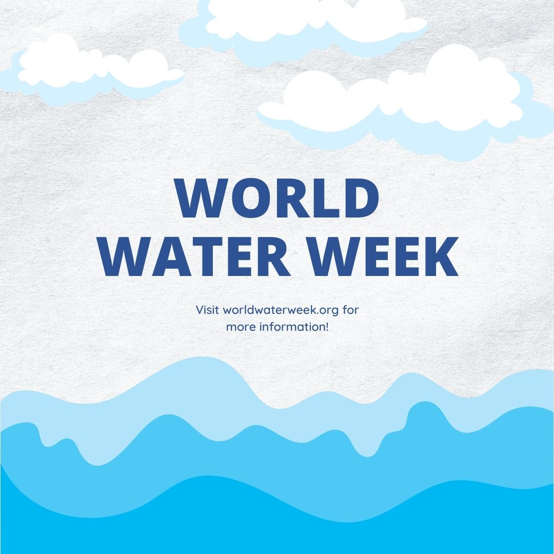 fixatap's tweet photo. It's World Water Week! This year, the theme is water cooperation and bridging borders for a sustainable future.

#water #worldwaterweek #life #world #plasticocean #ocean #fixatap #plumbing https://t.co/kUHzbq5qHx