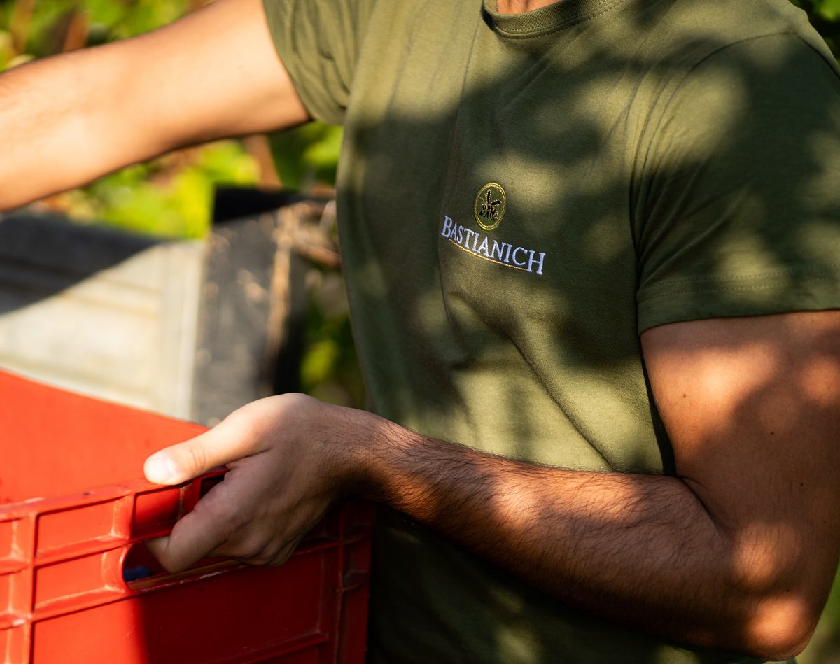 Portiamo a casa il lungo e affascinante lavoro di un anno.

Benvenuta, #vendemmia2024

#bastianich #bastianichwines #vinoitaliano #vino #wine #friuliveneziagiulia #fvg