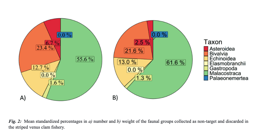MeditMarSci's tweet photo. BARGIONE, G., GUICCIARDI, S., VIRGILI, M., BARONE, G., & LUCCHETTI, A. (2024). Damage assessment on the discarded macro-benthic fauna in the Italian striped venus clam (Chamelea gallina) fisheries. https://t.co/RTVpVQMdpm
#hydraulicdredging
#Chameleagallina
#macrobenthicfauna https://t.co/rVBcyWIMrr