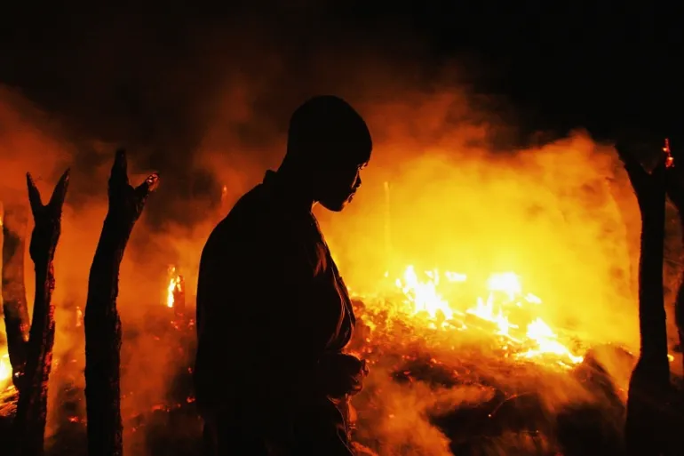 CTD Organization tweet media