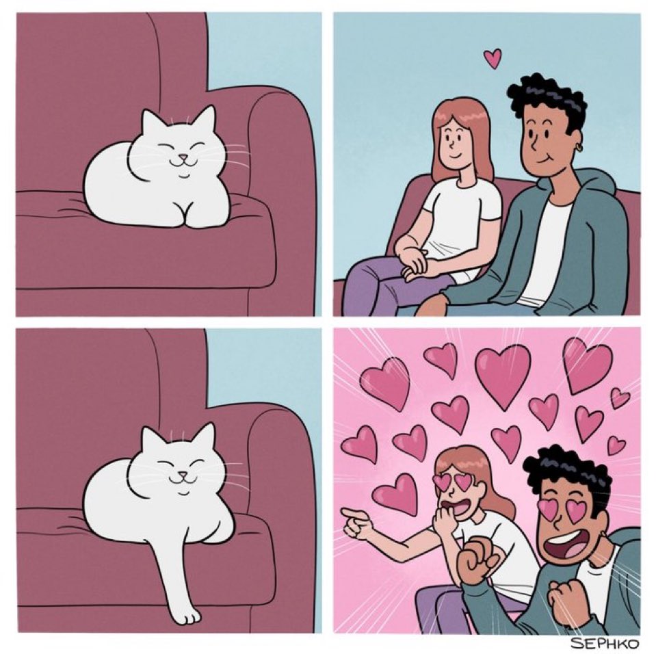 lined cats (@linedcats) on Twitter photo 