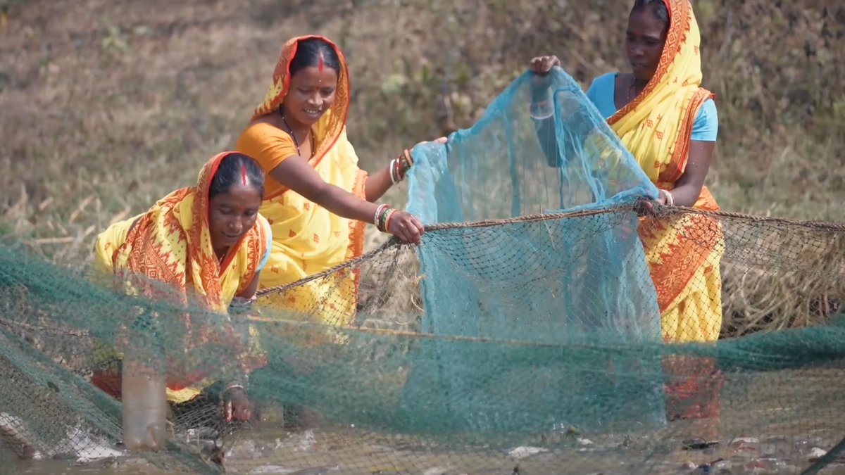 💡Ponds are a major #freshwater resource and an important socio-ecological component of our #foodsystem.

This World #Water Week, learn how the Gov of Odisha has set transformative strategies to manage them: tinyurl.com/WFNews2408f

<a href="/PRDeptOdisha/">Panchayati Raj and Drinking Water Department</a> <a href="/mission_shakti/">Mission Shakti</a> @farddept #WWWeek