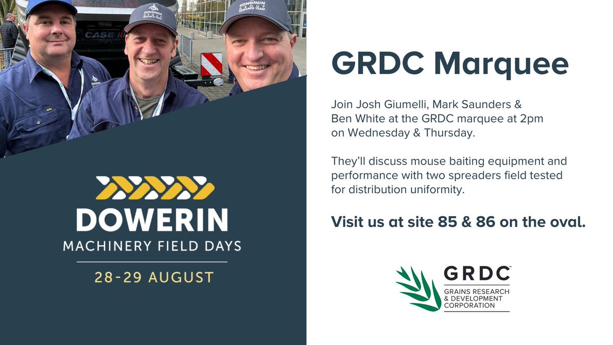 GRDC West (@grdcwest) on Twitter photo The triple threat! Join <a href="/DrJewmelon/">Josh Giumelli</a>, <a href="/MarkSaundeye/">Mark Saunders</a> and <a href="/1800weevil/">Ben White</a> at the GRDC marquee at <a href="/DowerinFieldDay/">Dowerin Machinery Field Days</a> at 2pm on Wednesday and Thursday. They’ll be there to discuss #mouse baiting equipment and performance with two spreaders field tested for distribution uniformity. The triple threat! Join <a href="/DrJewmelon/">Josh Giumelli</a>, <a href="/MarkSaundeye/">Mark Saunders</a> and <a href="/1800weevil/">Ben White</a> at the GRDC marquee at <a href="/DowerinFieldDay/">Dowerin Machinery Field Days</a> at 2pm on Wednesday and Thursday. They’ll be there to discuss #mouse baiting equipment and performance with two spreaders field tested for distribution uniformity.