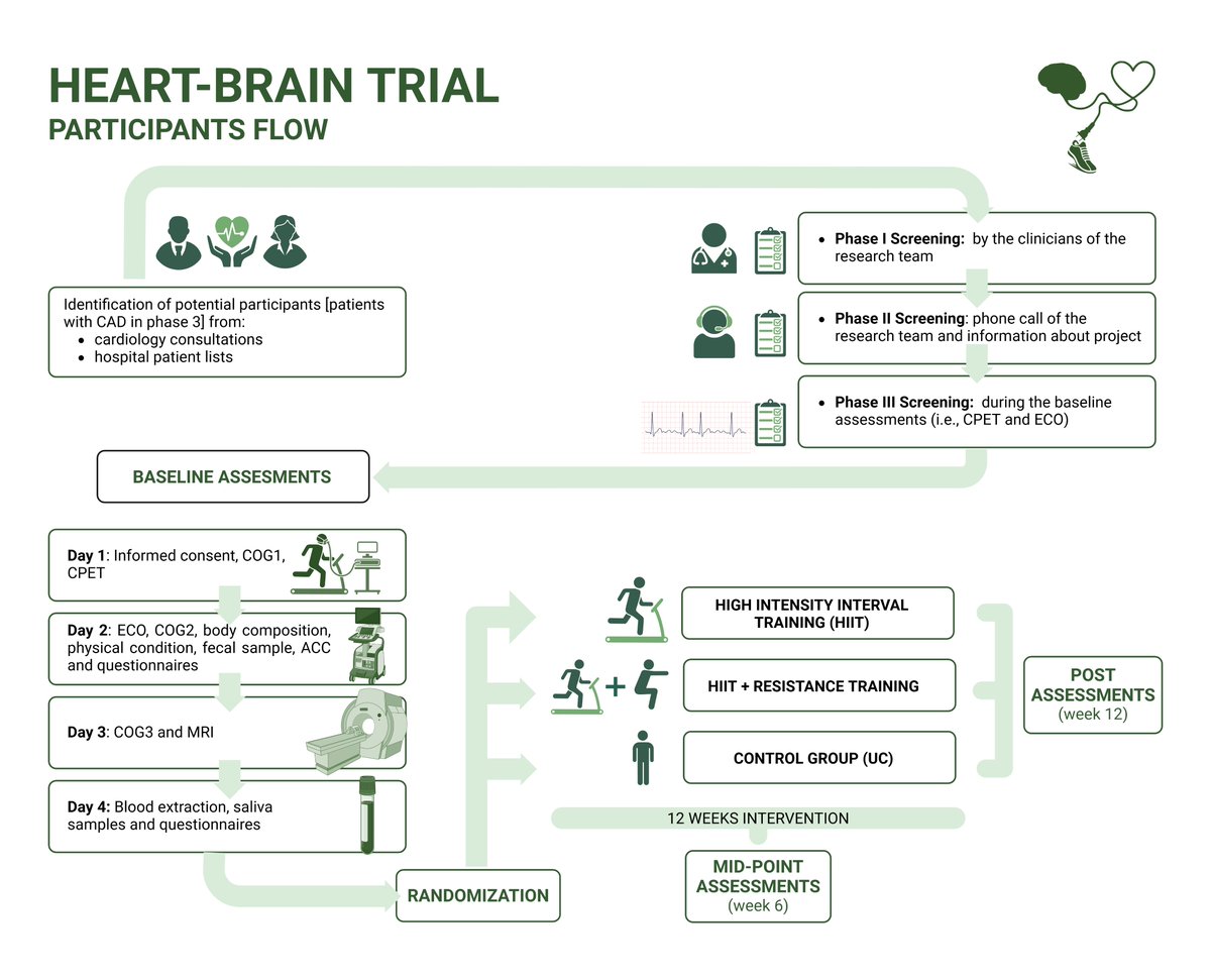 🚨 New publication 🚨
The protocol paper of the 𝐇𝐄𝐀𝐑𝐓-𝐁𝐑𝐀𝐈𝐍 𝐩𝐫𝐨𝐣𝐞𝐜𝐭 has been published 💪🧠❤️
This randomized controlled trial will investigate the effects of exercise on brain health in patients with coronary artery disease 
Link:
shorturl.at/WWe6k
