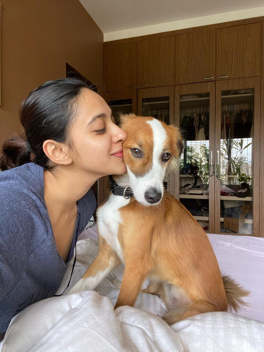 firstindiafilmy's tweet image. Akansha Ranjan Kapoor is the cutest pet mom to her fur baby Mija, and we can't get enough of their pawfect bond! 🐶❤️

#AkanshaRanjanKapoor #firstindiafilmy