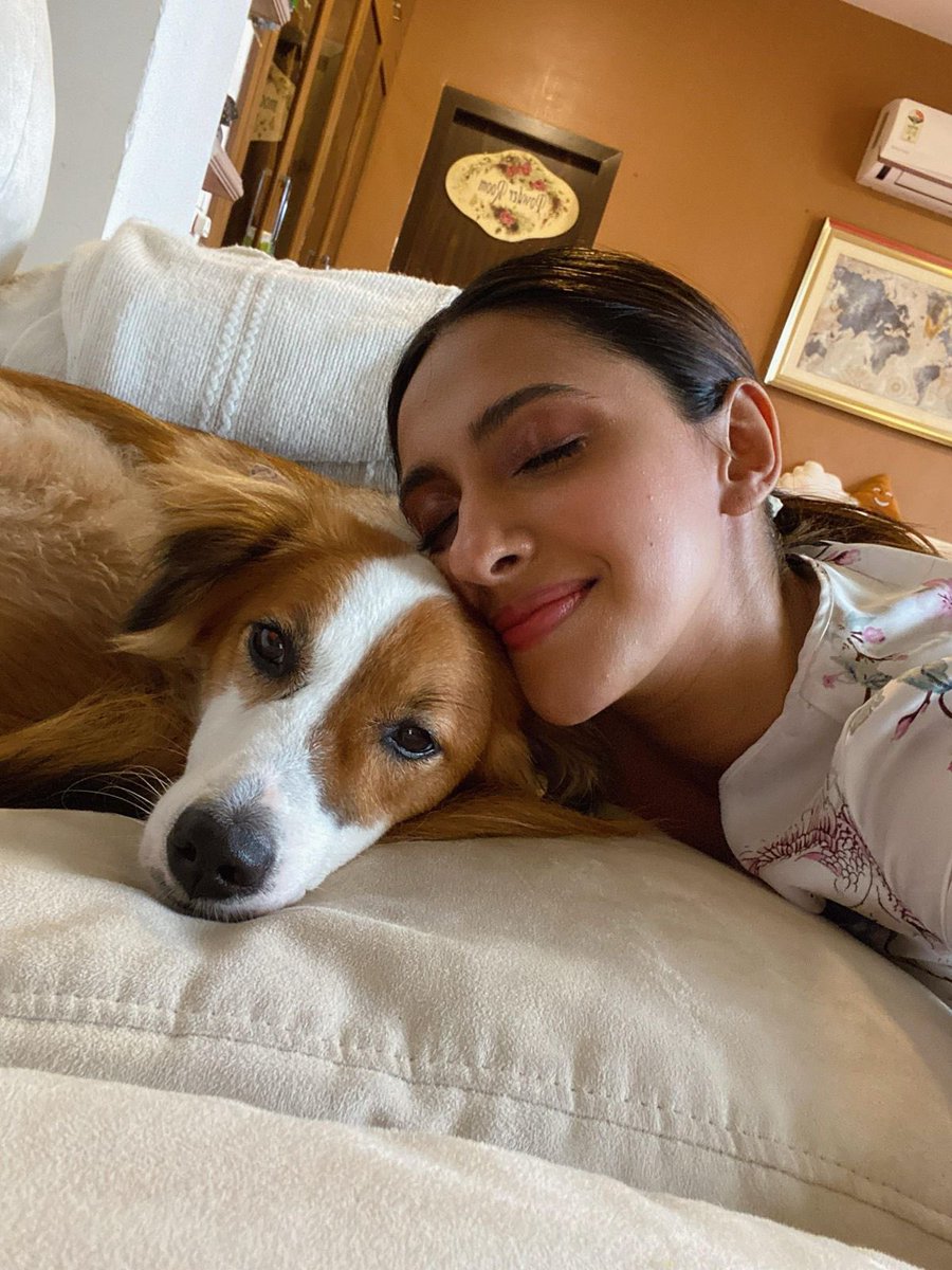 firstindiafilmy's tweet image. Akansha Ranjan Kapoor is the cutest pet mom to her fur baby Mija, and we can't get enough of their pawfect bond! 🐶❤️

#AkanshaRanjanKapoor #firstindiafilmy