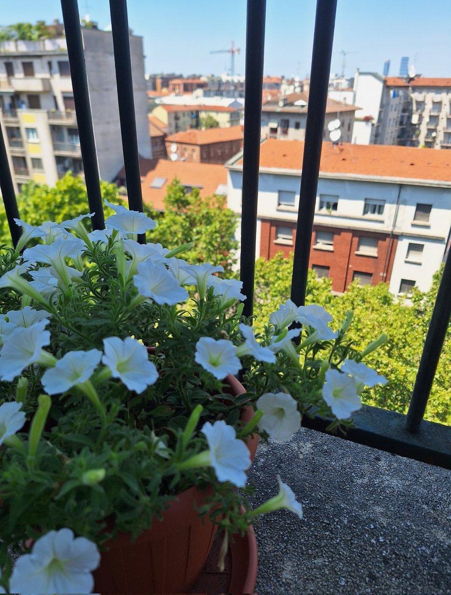 stellar_cherry's tweet photo. #flowersforyoongi https://t.co/SKD7klg5Rq