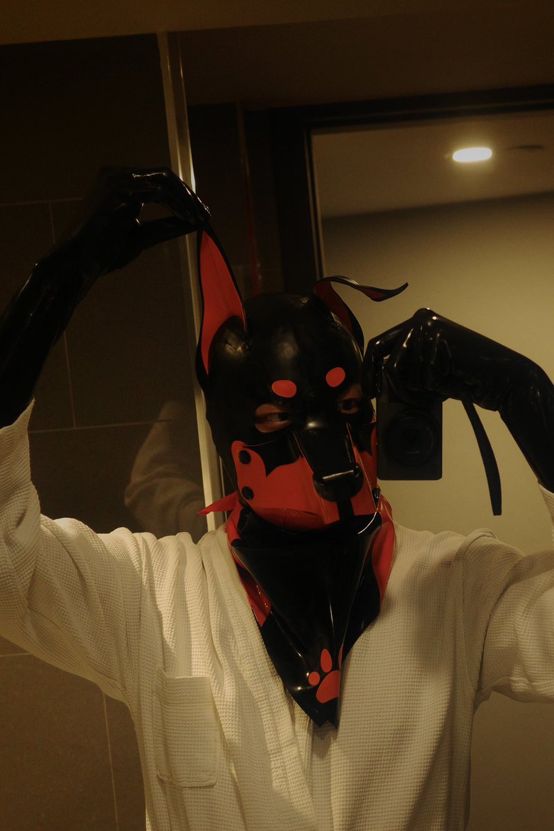 JereDM2's tweet photo. 🟧🐶 https://t.co/G6vk5YbVHn