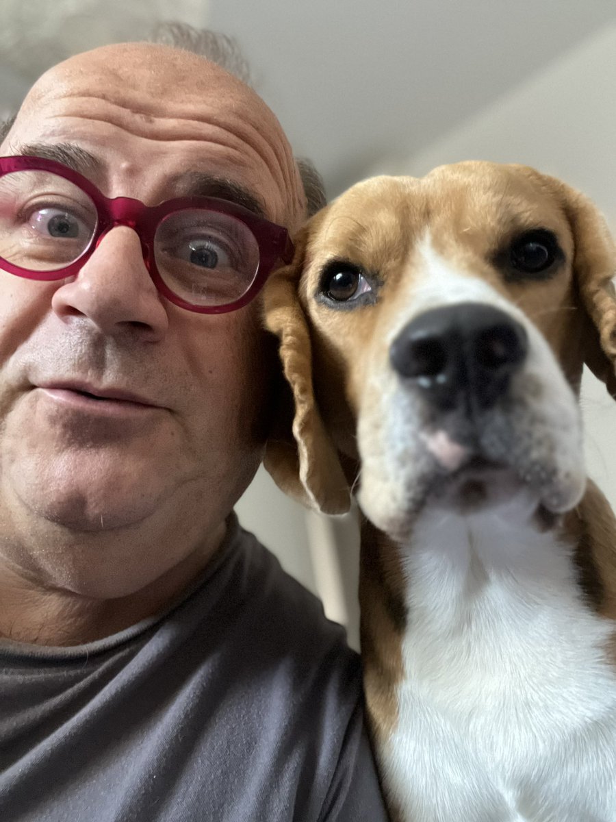 #giornatamondialedelcane