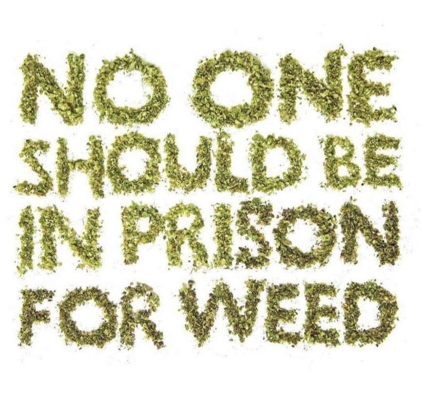 UKCannabisClubs's tweet photo. No victim. No crime. 

End custodial sentences for cannabis possession. 

End criminal records for the cultivation, sale and possession of cannabis entirely. 

People who purposely contaminate cannabis or target children for profit you don't get a pass. 

#decrininalise https://t.co/rZx6o0BKA8