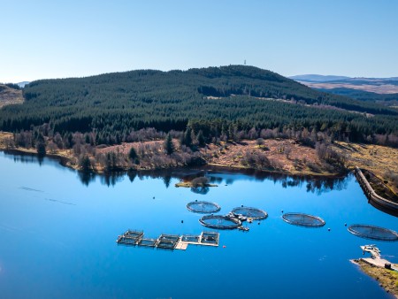 A delegation of #UofStirling researchers from <a href="/IoAStirling/">Institute of Aquaculture</a> will be sharing their expertise at this week's #AQUA2024 conference in Copenhagen. Find out more about how we lead the world in our vision to tackle global problems through #AquaCulture: brnw.ch/21wM4GH <a href="/easaqua/">European Aquaculture Society (EAS)</a>