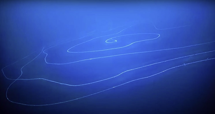 GeneralShopFun's tweet photo. 「第223回 キリンの大きさを知っていますか？」byそんない雑貨店(2020.07)📻https://t.co/mauwU7UC39
地球一大きい動物はシロナガスクジラではない？地球がピンポン球なら太陽の大きさは？クダクラゲ・オニナラタケでスケールを体感だ！📏
��き放題🎙https://t.co/Jo2yuWZq9L
https://t.co/08jmqrEjd8 https://t.co/KJOYFWnMFK