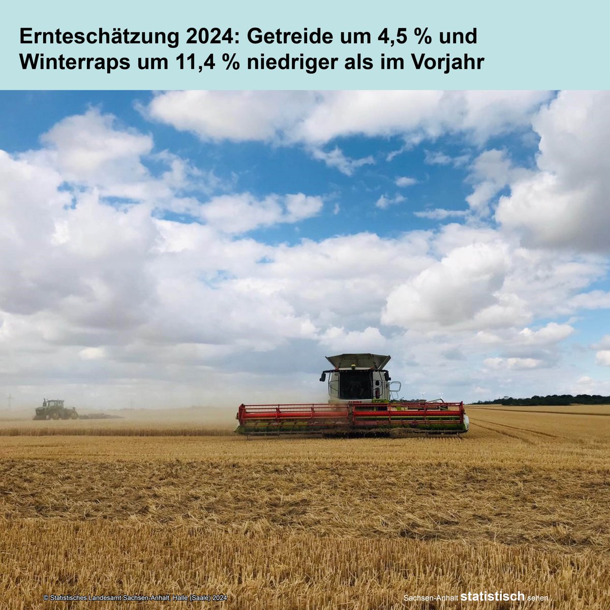 StatistikLSA's tweet photo. Nach aktuellen Schätzungen werden die #Landwirte 2024 in #SachsenAnhalt 3,16 Mill. t #Getreide (o. Körnermais, CCM) + 0,40 Mill. t Winterraps ernten. Damit liegt die geschätzte Getreide- um 4,5 % und #Winterraps-#Erntemenge um 11,4 % unter 2023. 
🚜https://t.co/Dbg2HomVo4 https://t.co/1FZt0leV77
