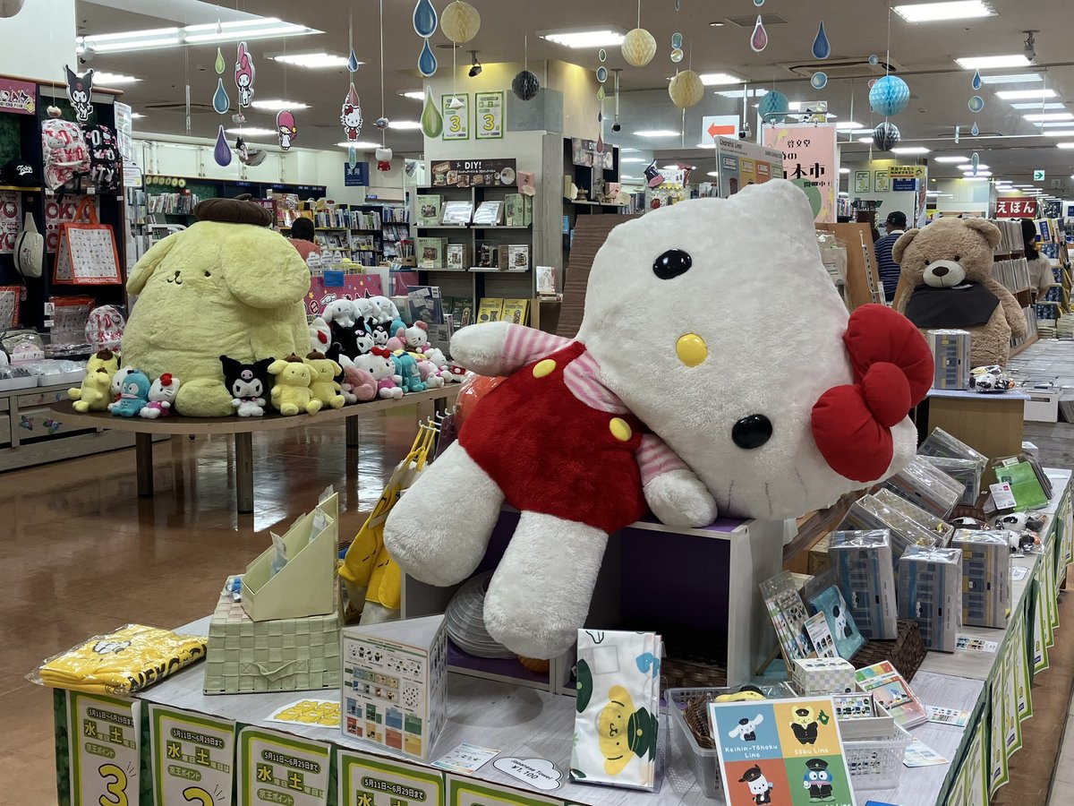 hatarakudoll's tweet photo. 書店にて　結構限界のキティ https://t.co/3W1WcKPAAC
