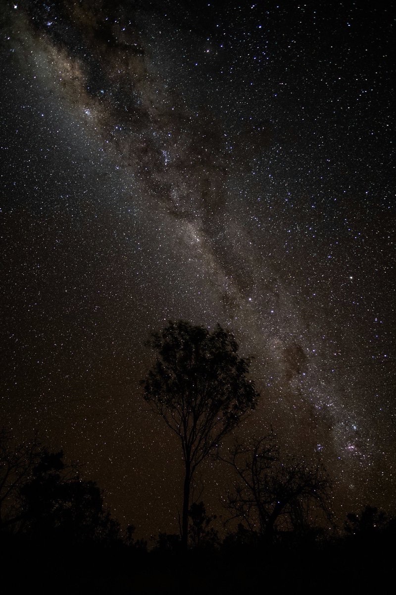 earthcurated's tweet photo. So many stars ✨ https://t.co/GAr3vxnG5U