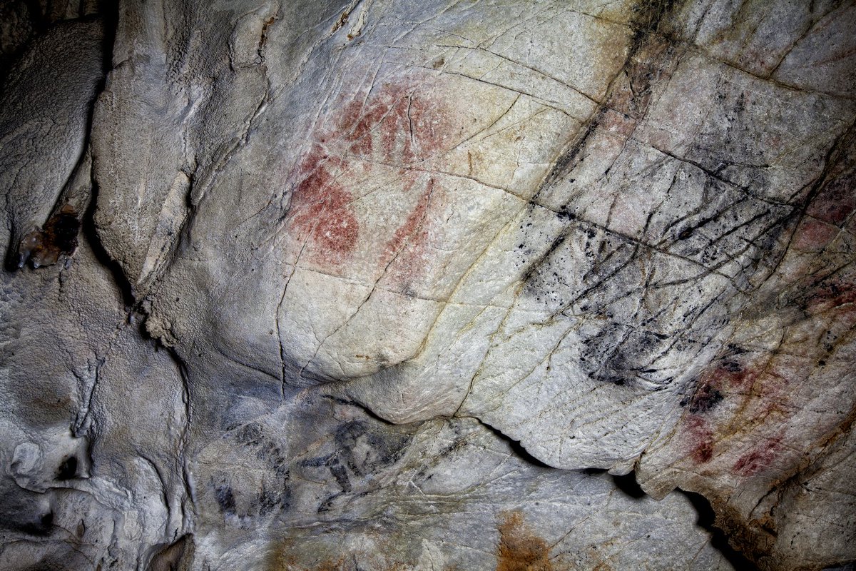 CuevasCant's tweet photo. ⚠️ Recuerda que a partir del 15 de #septiembre reducimos el aforo y número de visitas a las cuevas de #ElCastillo, #LasMonedas y #Covalanas 🧐
👉 Entre todos debemos #cuidar y #proteger para #conservar una de las joyas del #patrimonio de #Cantabria: su #arterupestre 👌 https://t.co/nppcTsHccV
