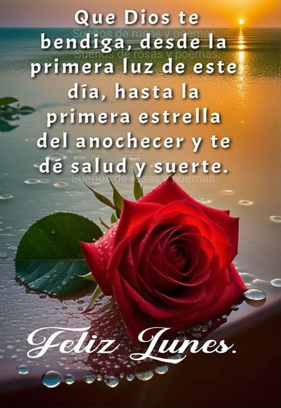 Horaderecoger's tweet photo. #Lafelicidadestaenelinterior Para hoy https://t.co/fbjJvfXb0b