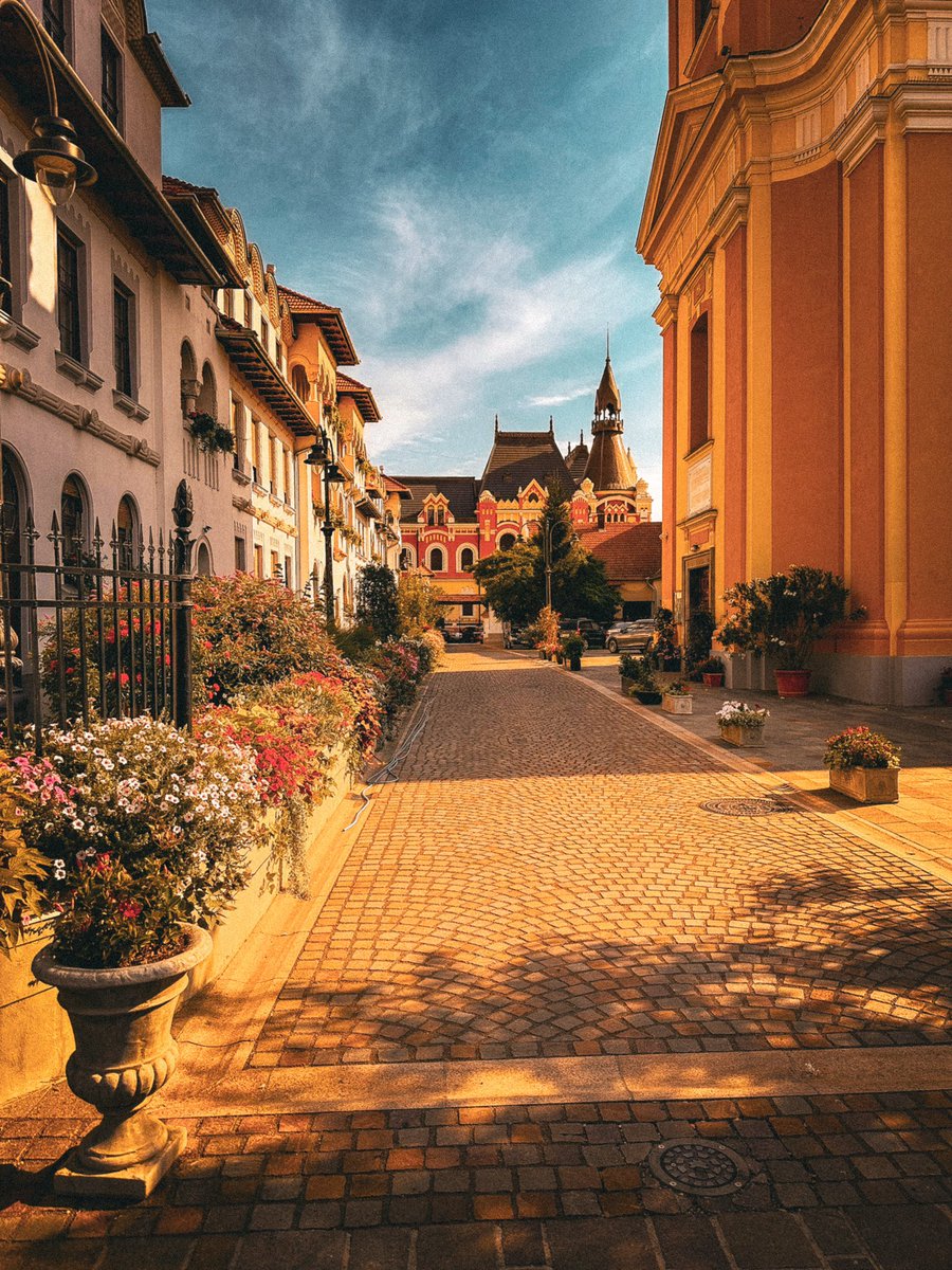 Make IT in Oradea tweet media