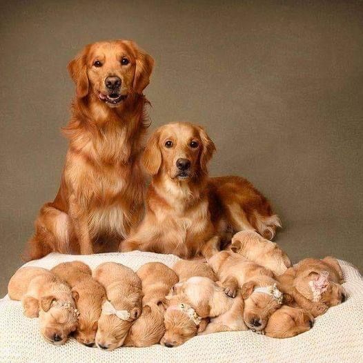 Cute family...😂🥰