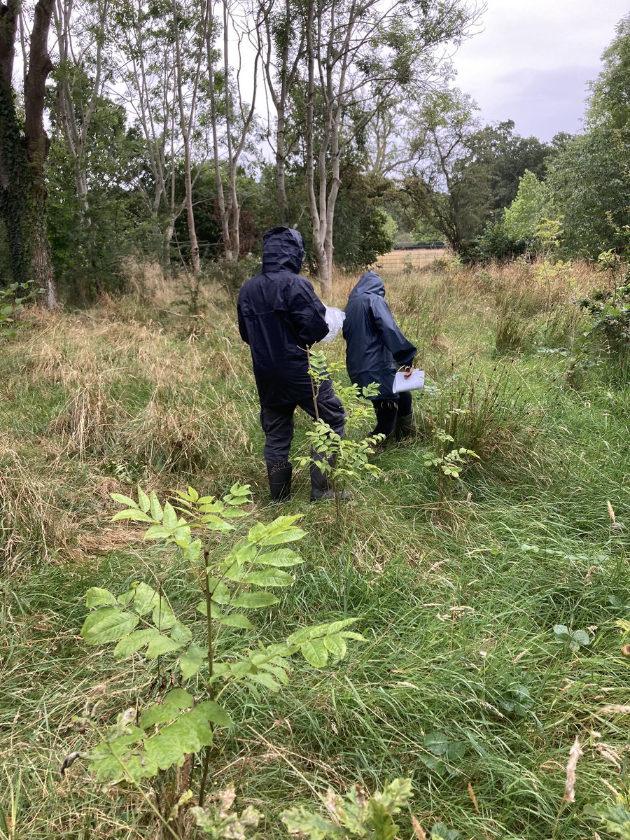 Dheeraj Singh Rathore tweet media